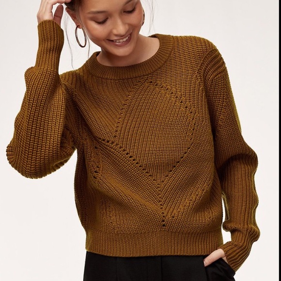 đ¸ Wilfred (Aritzia) Serment Sweater in Tamarind